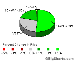 TD Ameritrade pie chart