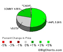 TD Ameritrade pie chart