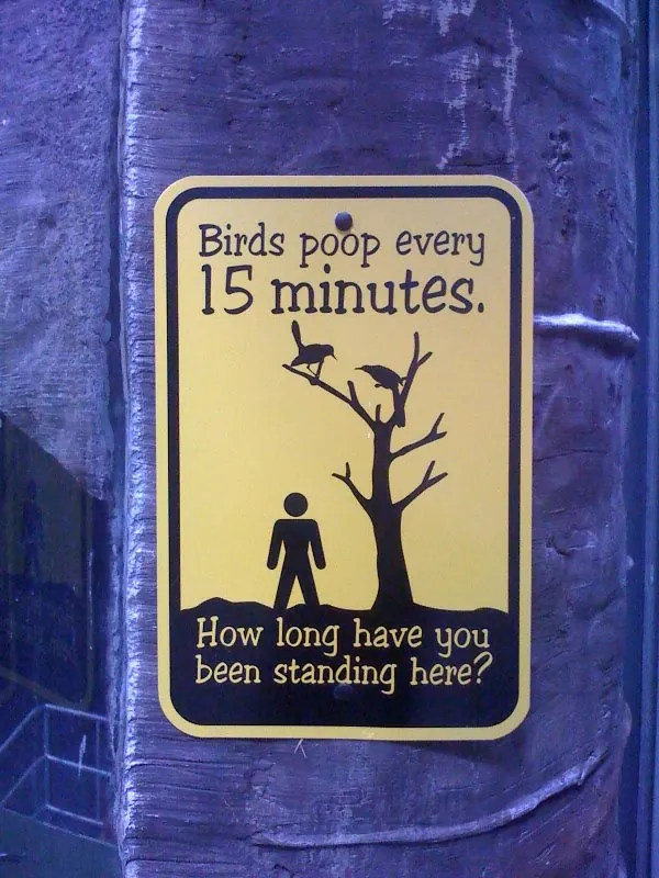 Poop