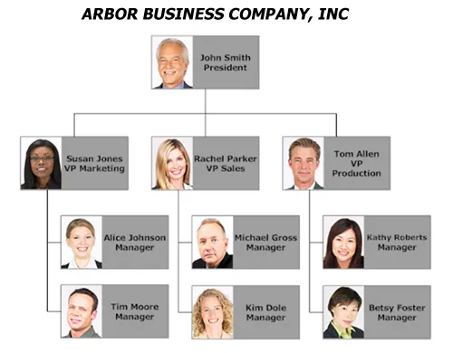 Org chart template