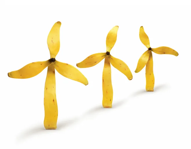 Waste and energy