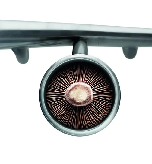 Flying organic